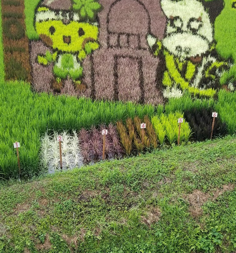 Yonoka Shiobara Michi-no-Eki-那须盐原市必去景点