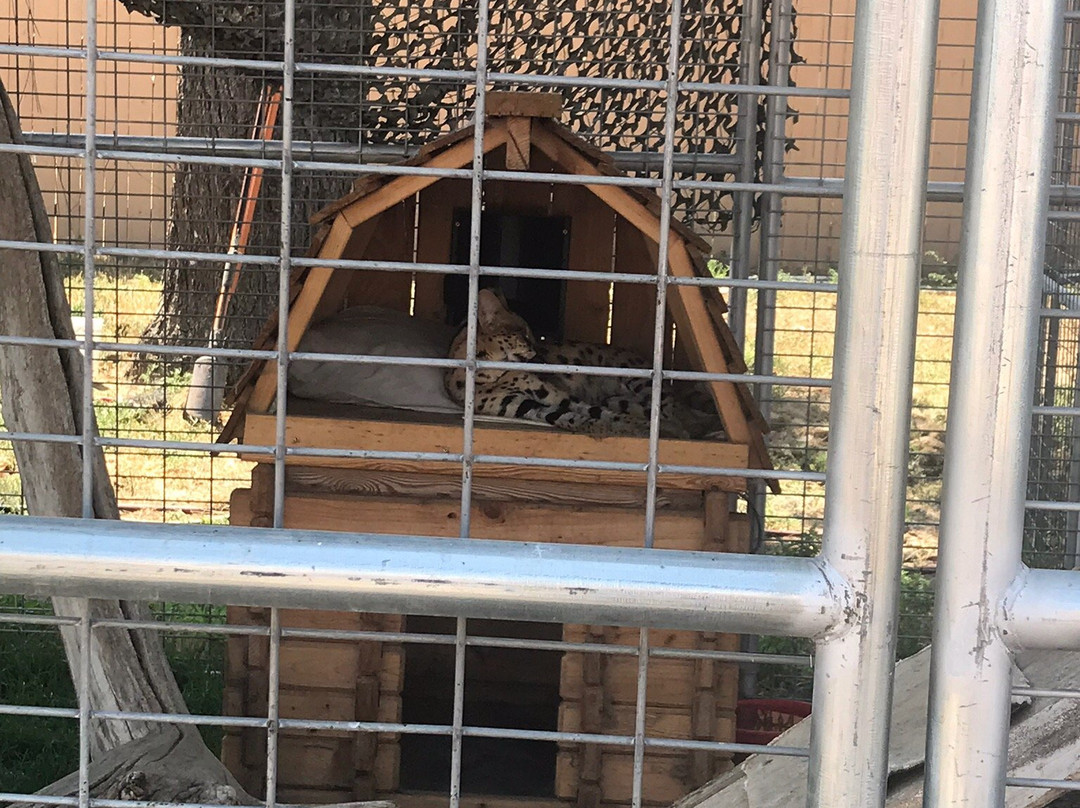 Babby Farms-Caldwell必去景点