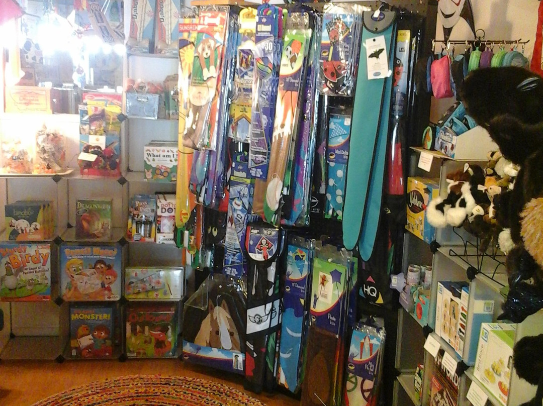 Livingston Kite Company-利文斯顿必去景点