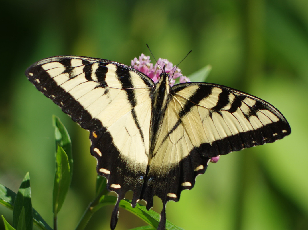 The Gardens at Matter Park-Marion必去景点