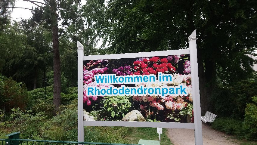 Rhododendronpark景点图片