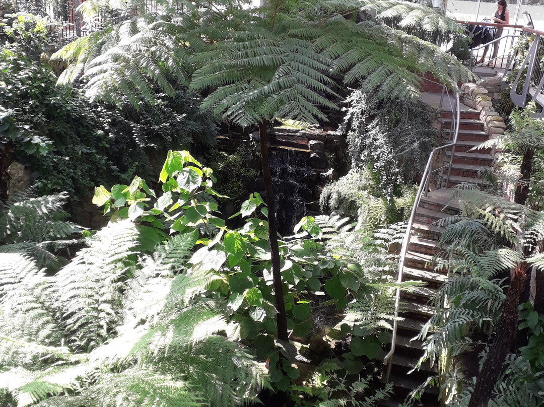 The Tropical Ravine House-贝尔法斯特必去景点