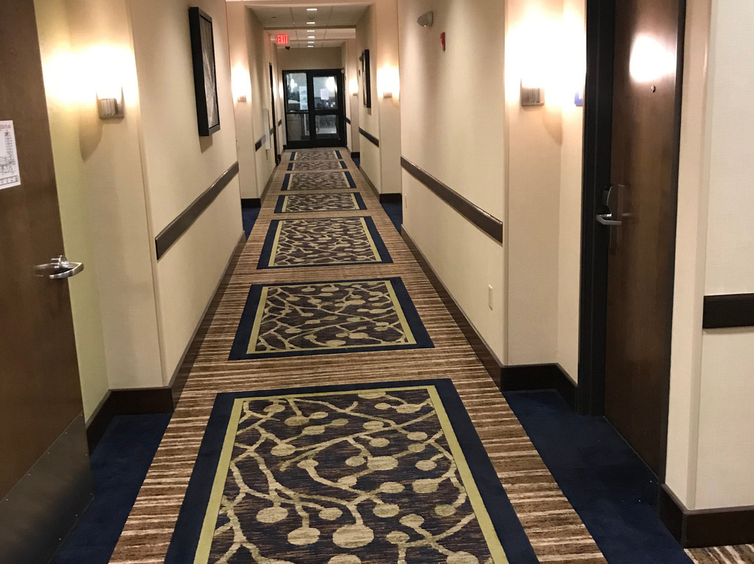 贝尔格莱德智选假日套房酒店主图