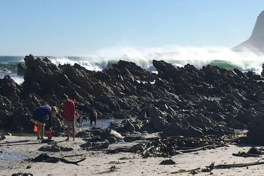 LISALOVESWINES-斯泰伦博斯必去景点