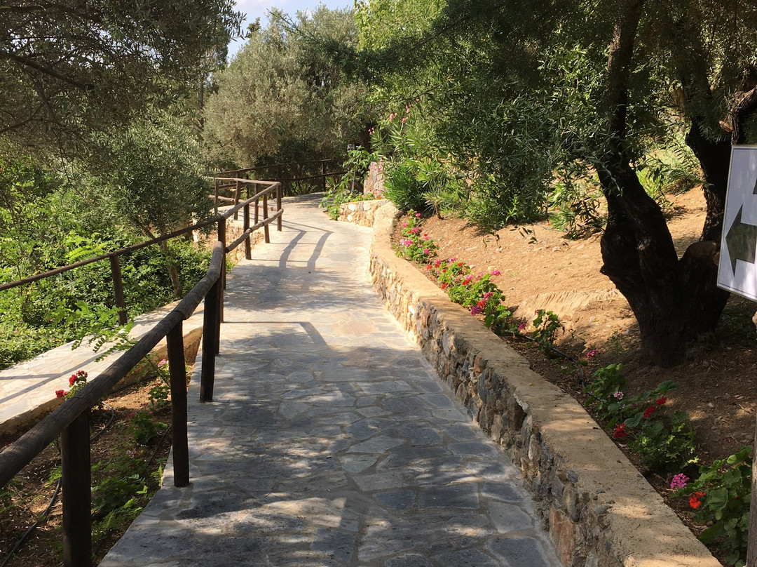 埃里昂纳斯酒店主图