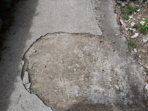 奥斯洛布野生动物园度假村主图