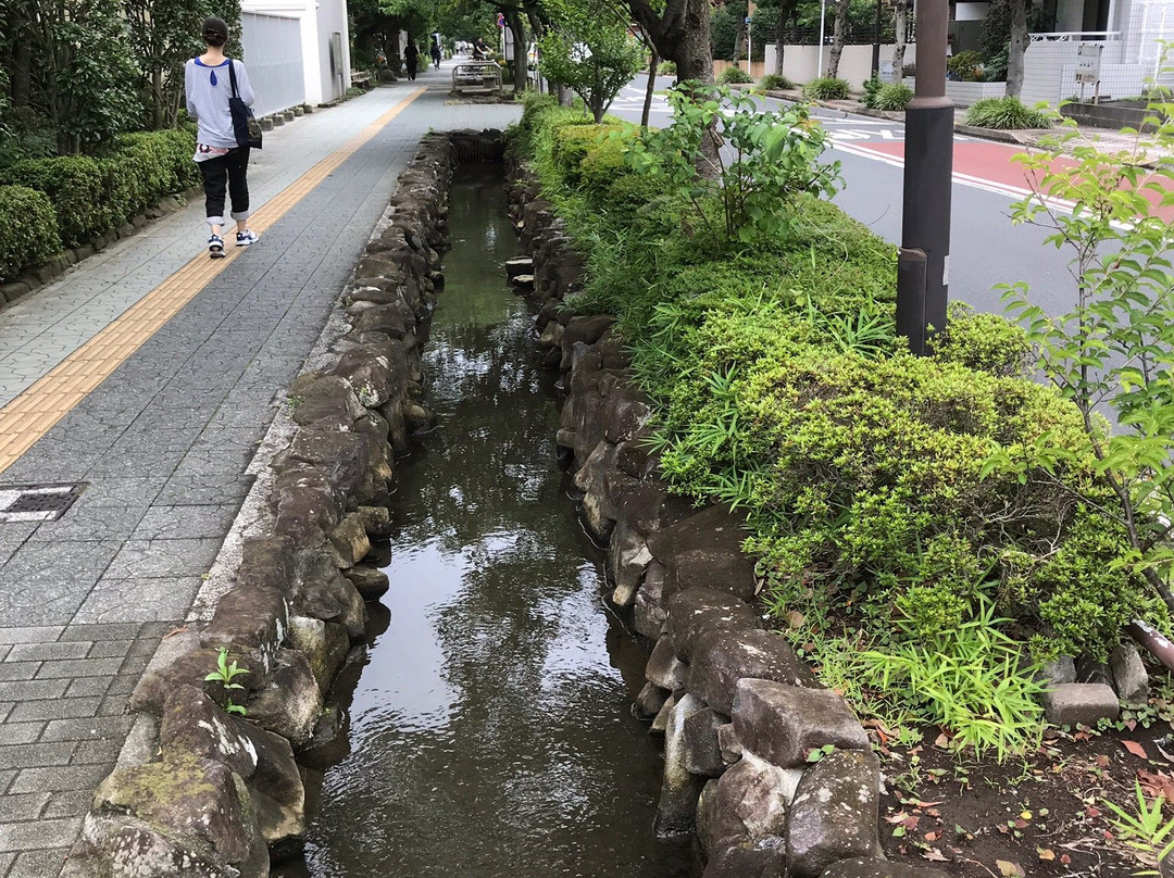 Kasai Shinsui Shiki no Michi-江戸川区必去景点