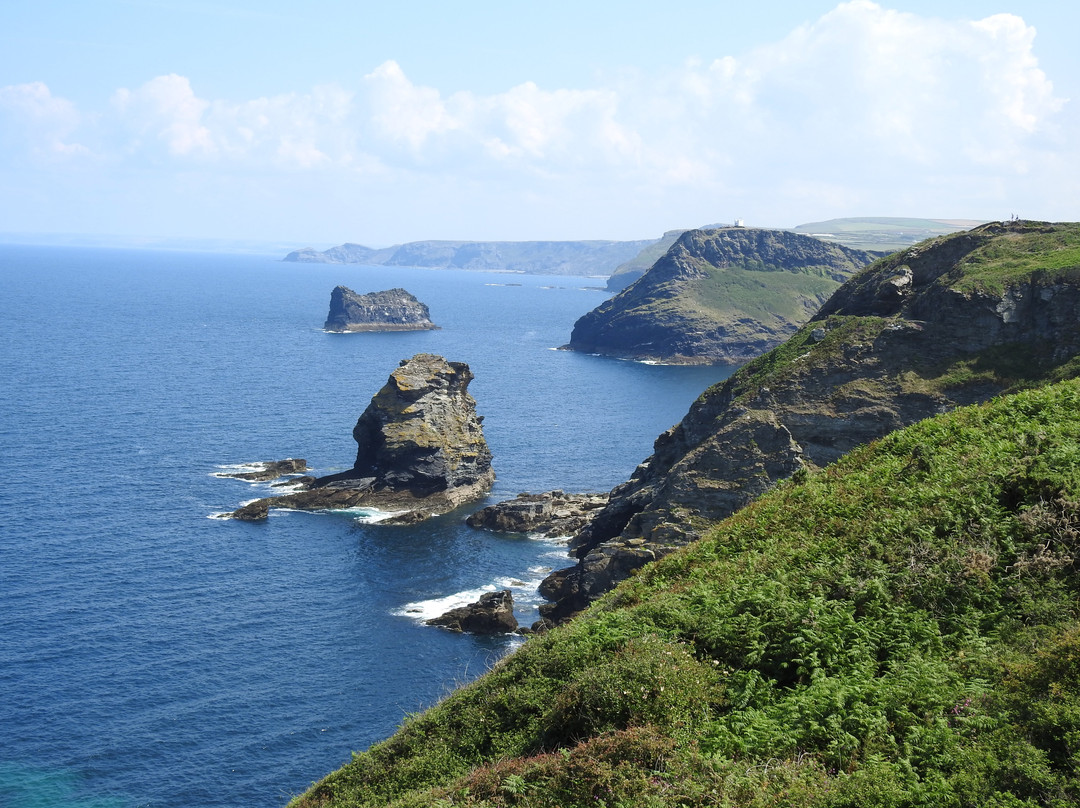 The Old Rectory St. Juliot主图