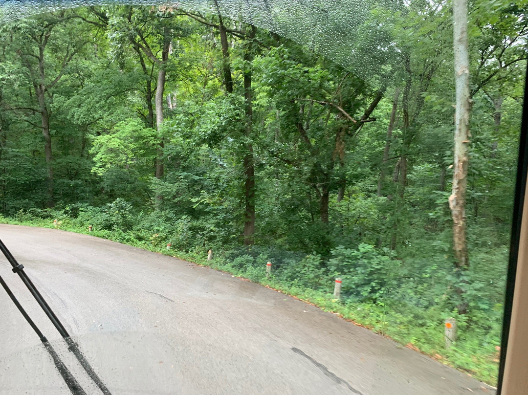 Graham Cave State Park-Montgomery City必去景点