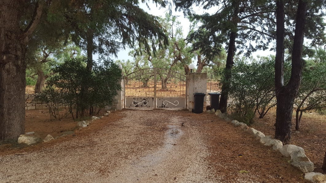 B&B L'Eremo Degli Ulivi主图