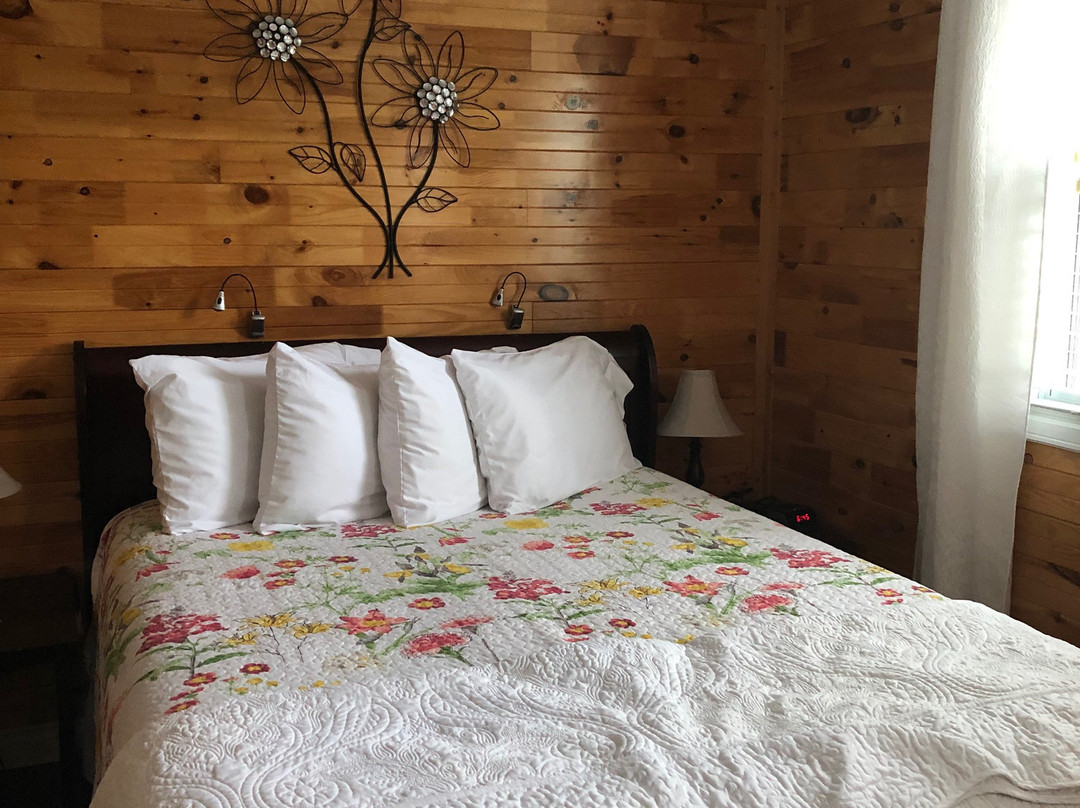 Avalon Wilderness Cottages