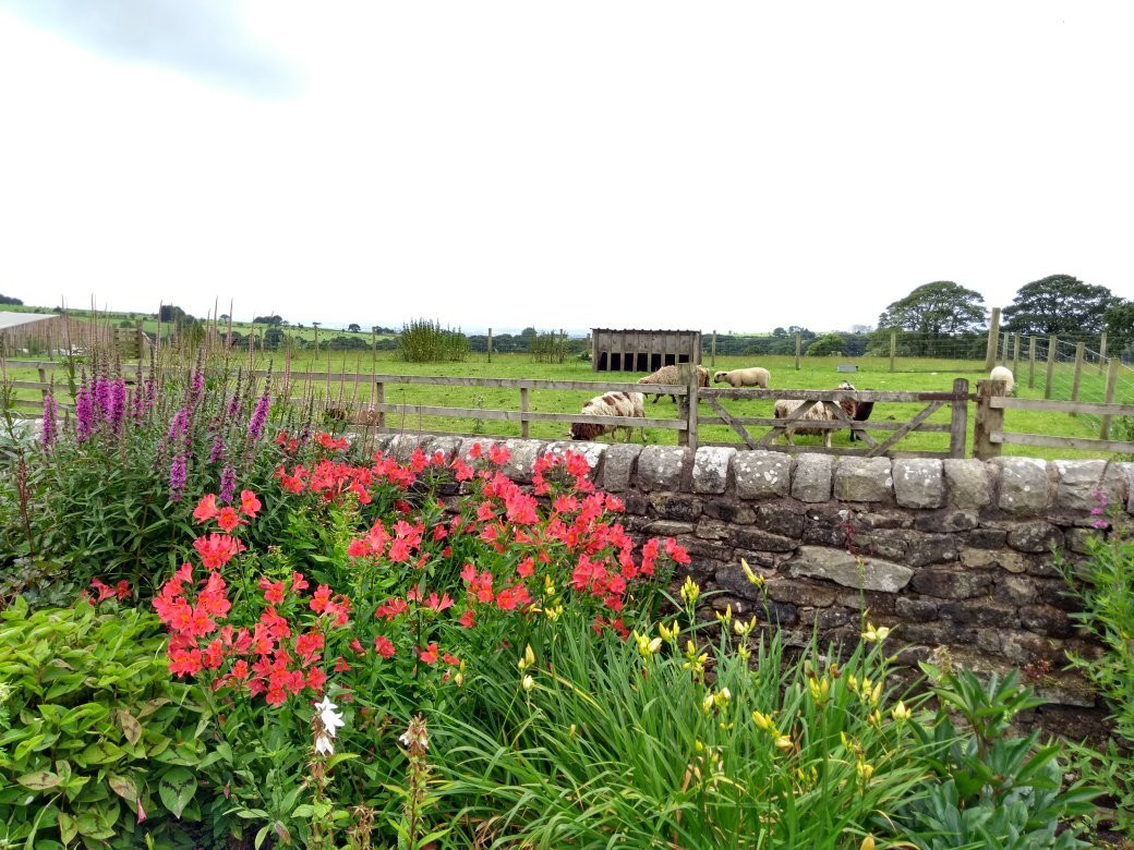 Cobble Hey Farm & Gardens景点图片