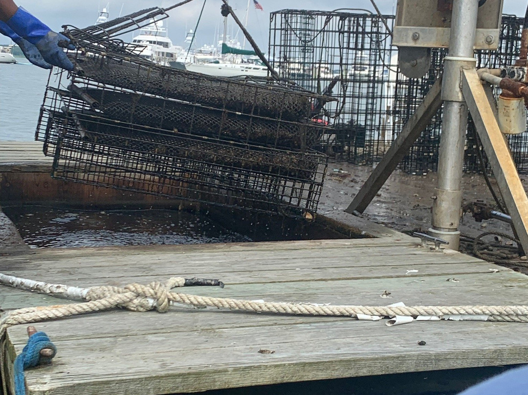 Lake Montauk-蒙托克必去景点