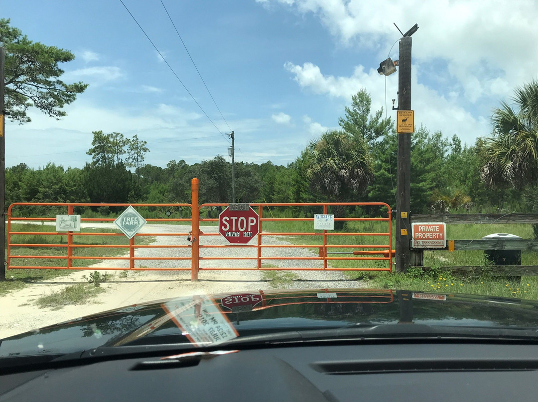 Chassahowitzka National Wildlife Refuge-克里斯特尔里弗必去景点