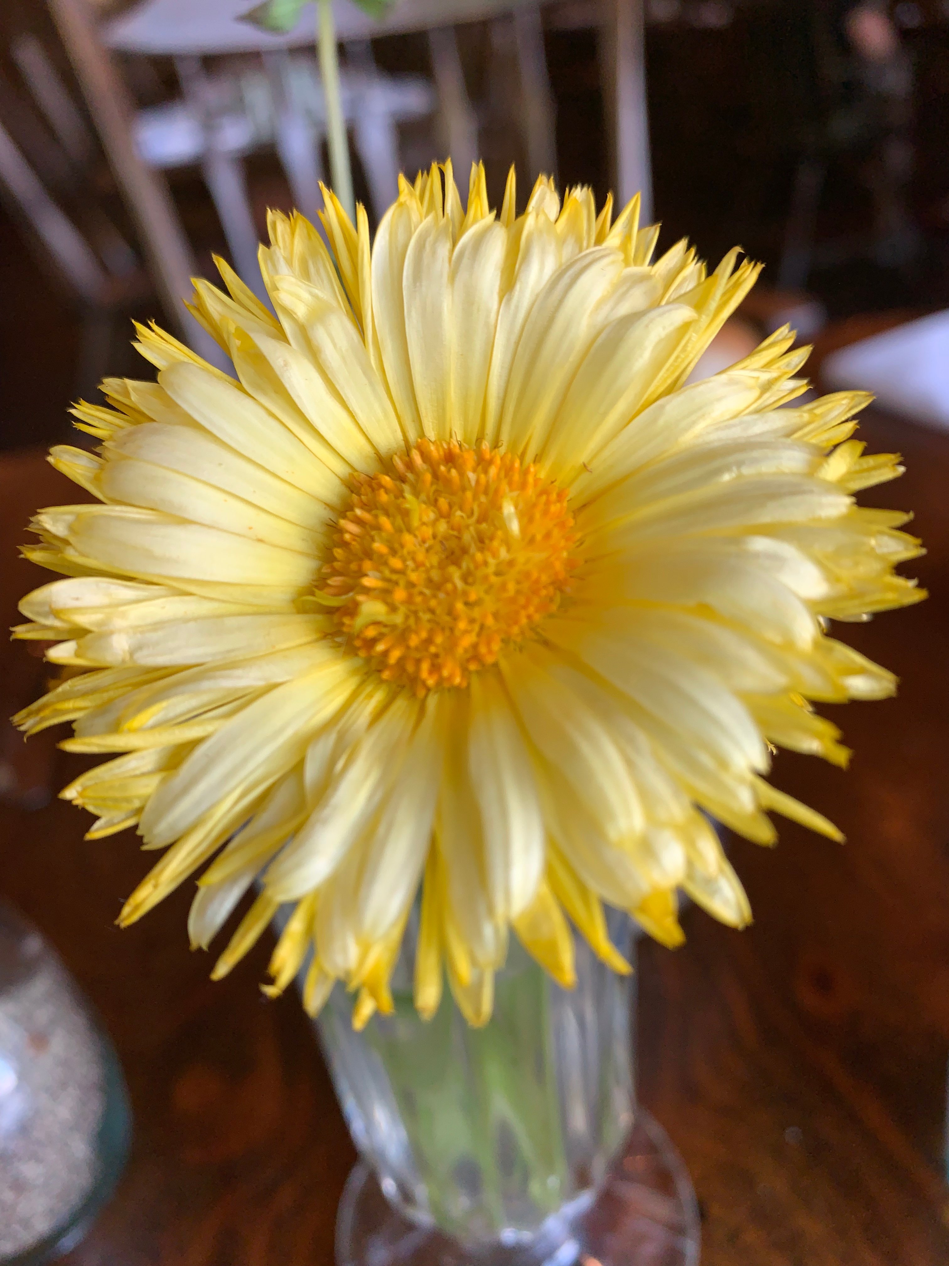 Brown County Inn-餐饮