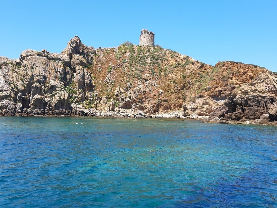 Cala Violina Boat Tour景点图片
