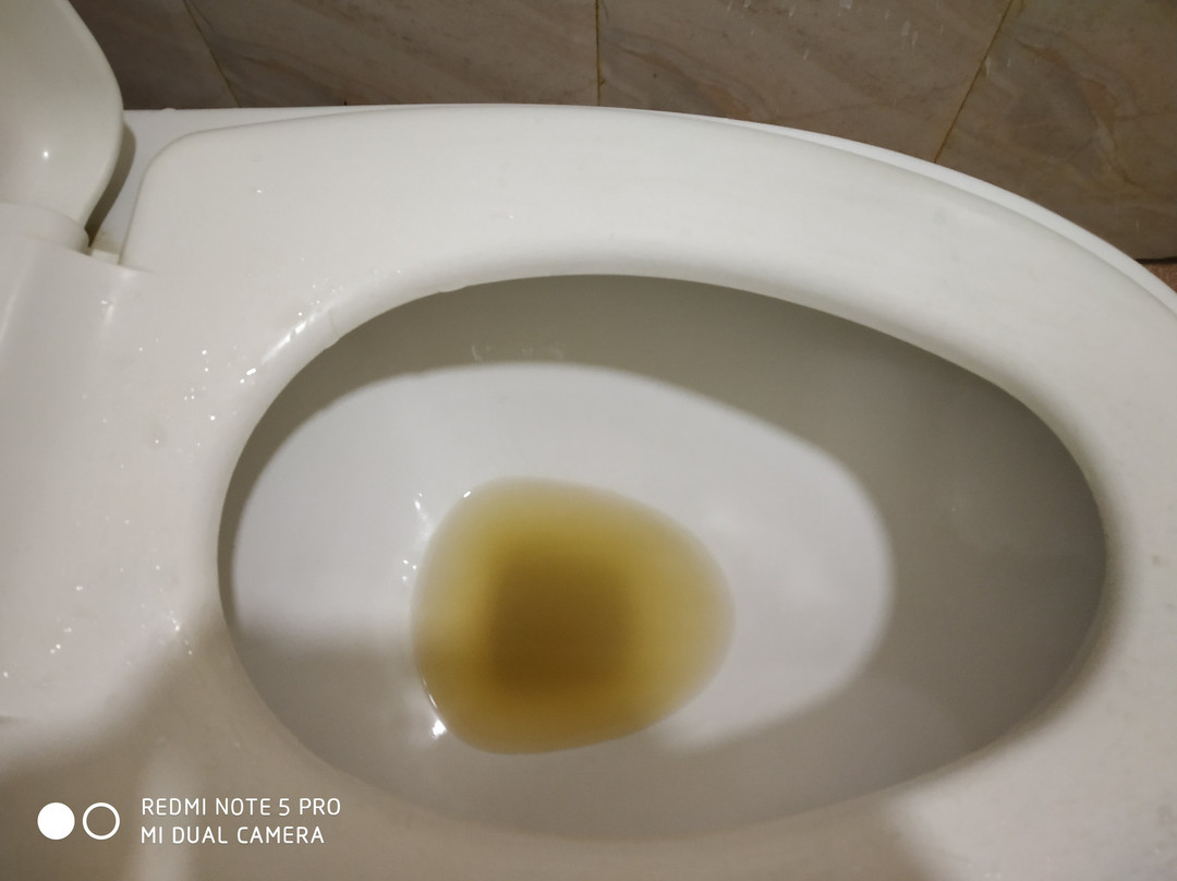 La Flora Prakruth Resort主图