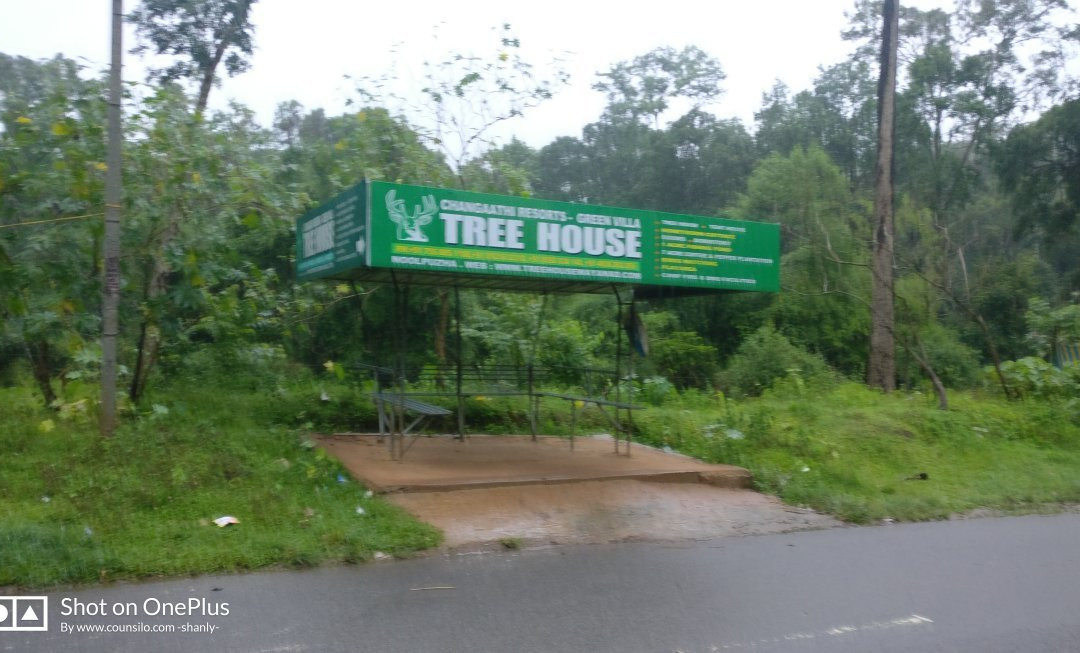 Forest Inn Tree House主图