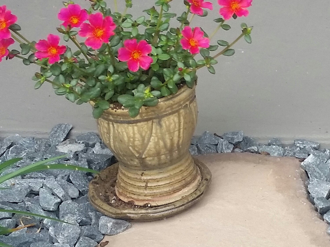 The George Griffin Pottery-Sopchoppy必去景点