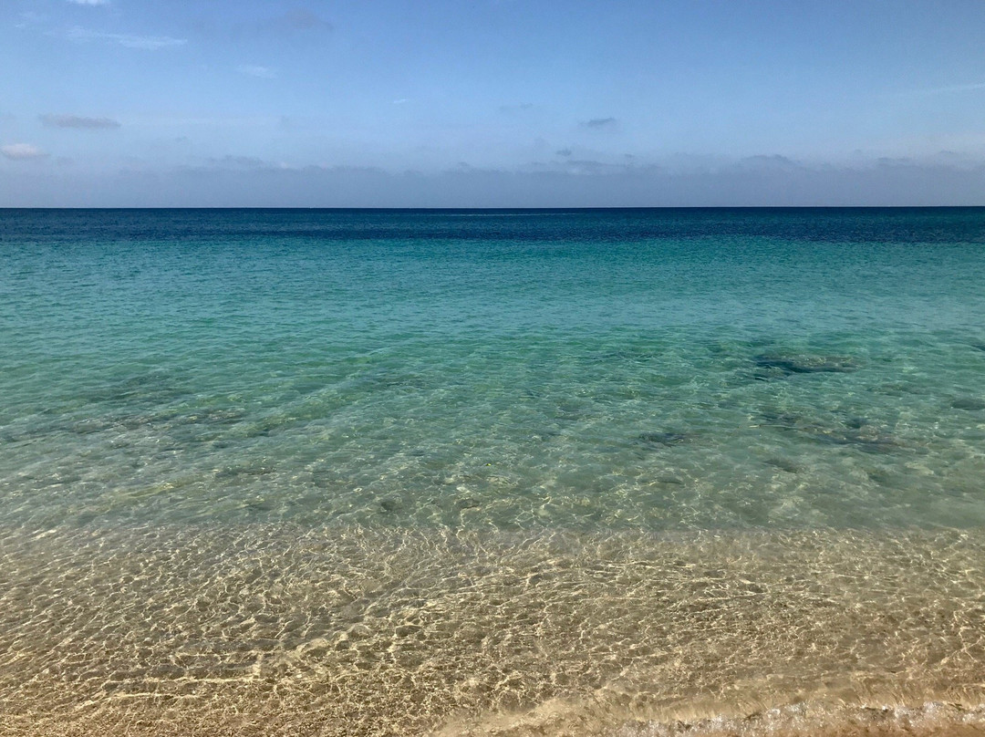 Afronautica-Isla Baru必去景点