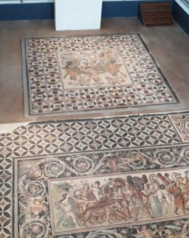 Setif Museum - Musée d'archéologie景点图片