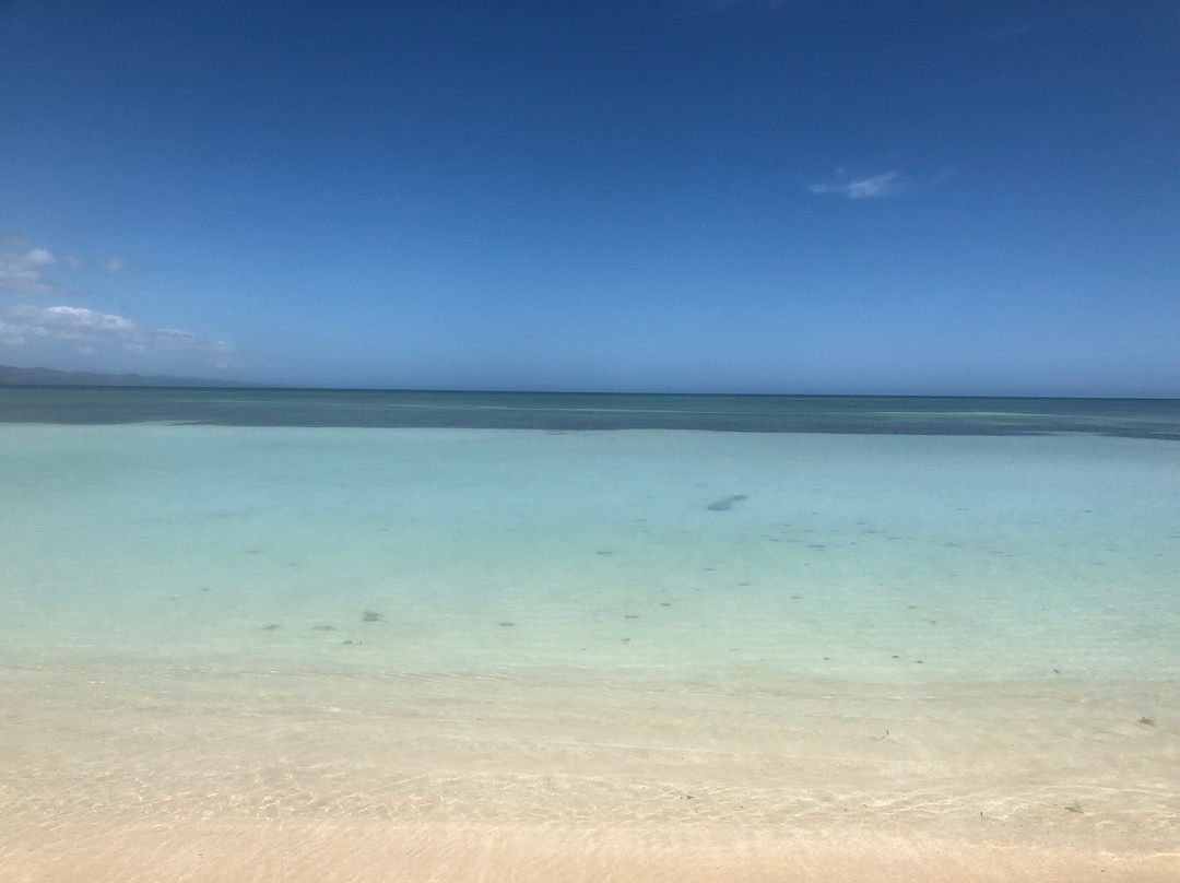 Villa Alfonsina主图