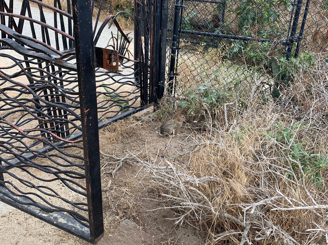 Culver City Park-卡尔弗城必去景点