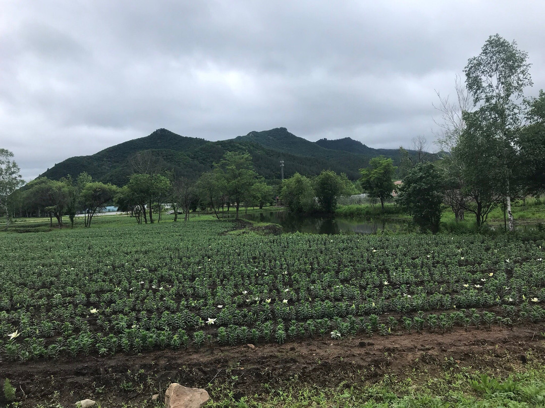 九峰山养心谷景点图片