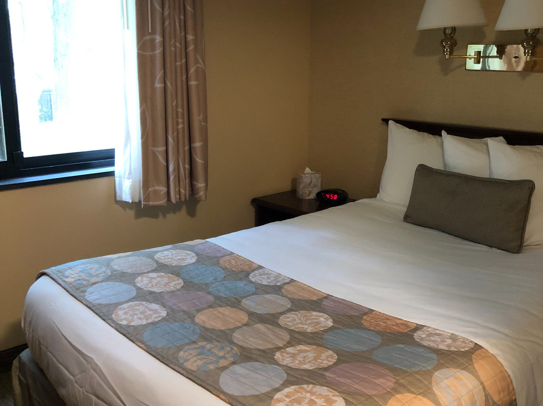 威廉博尔格中心酒店主图