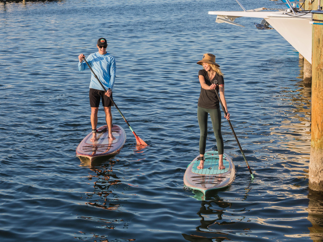 Sea Turtle SUP-Coventry必去景点