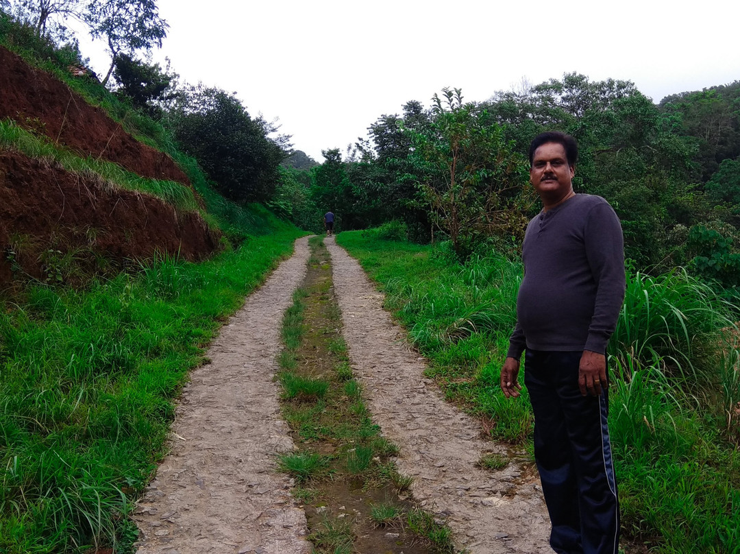 Rain Country Resorts主图