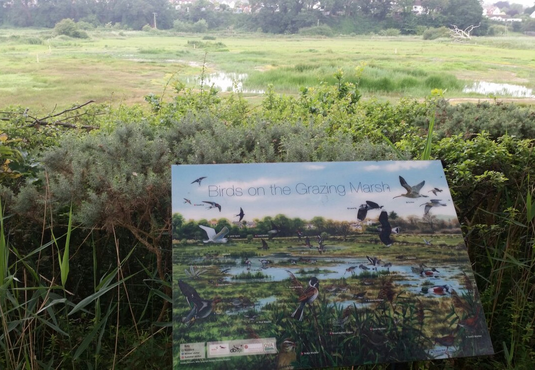 South West Coast Path - Otter Valley Wildlife Walk景点图片