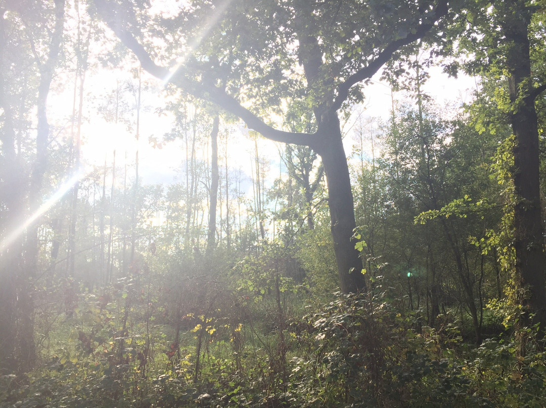 旧腾浩特旅游攻略图片