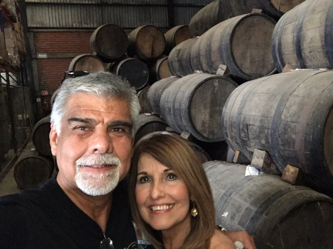 Mickey Marentes Tours & Experiences-特基拉必去景点