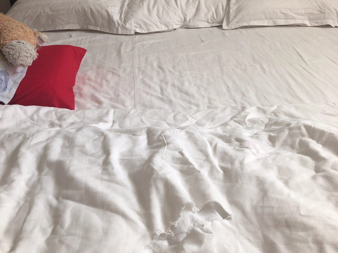 Hotel Diplomat主图