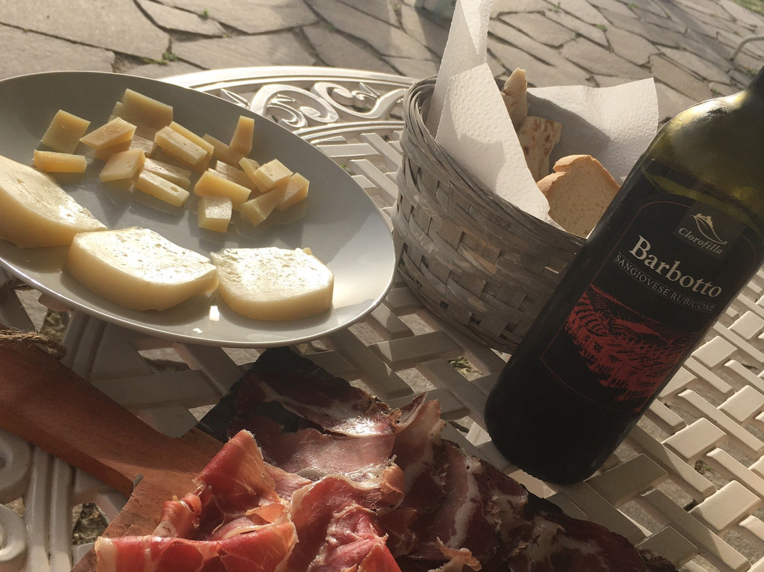 Il Pavone Errante主图