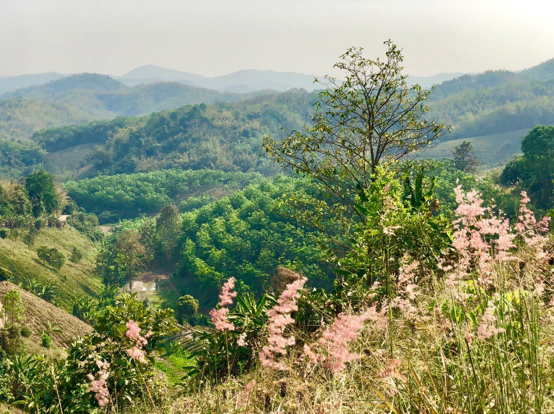 ATV Chiangrai Ruammit-清莱必去景点