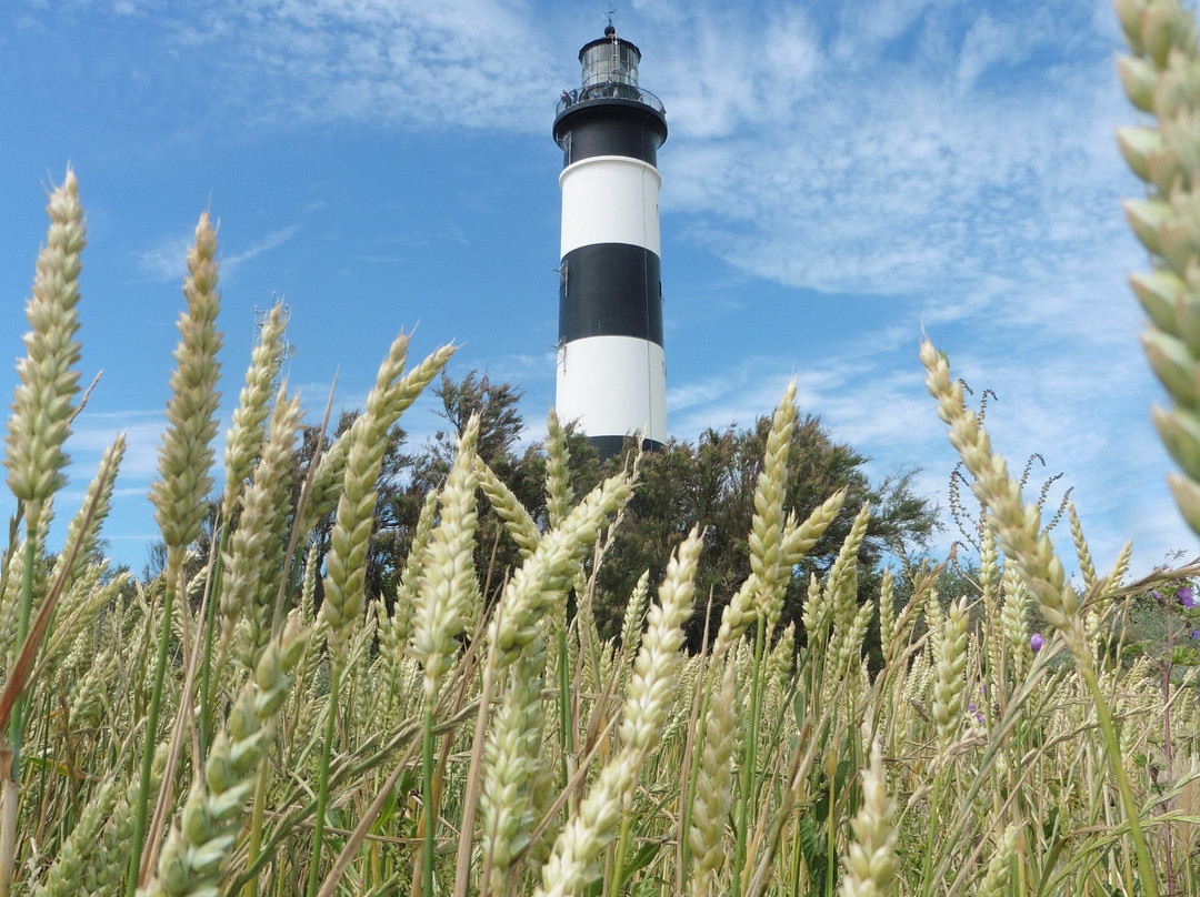 Le Phare de Chassiron景点图片