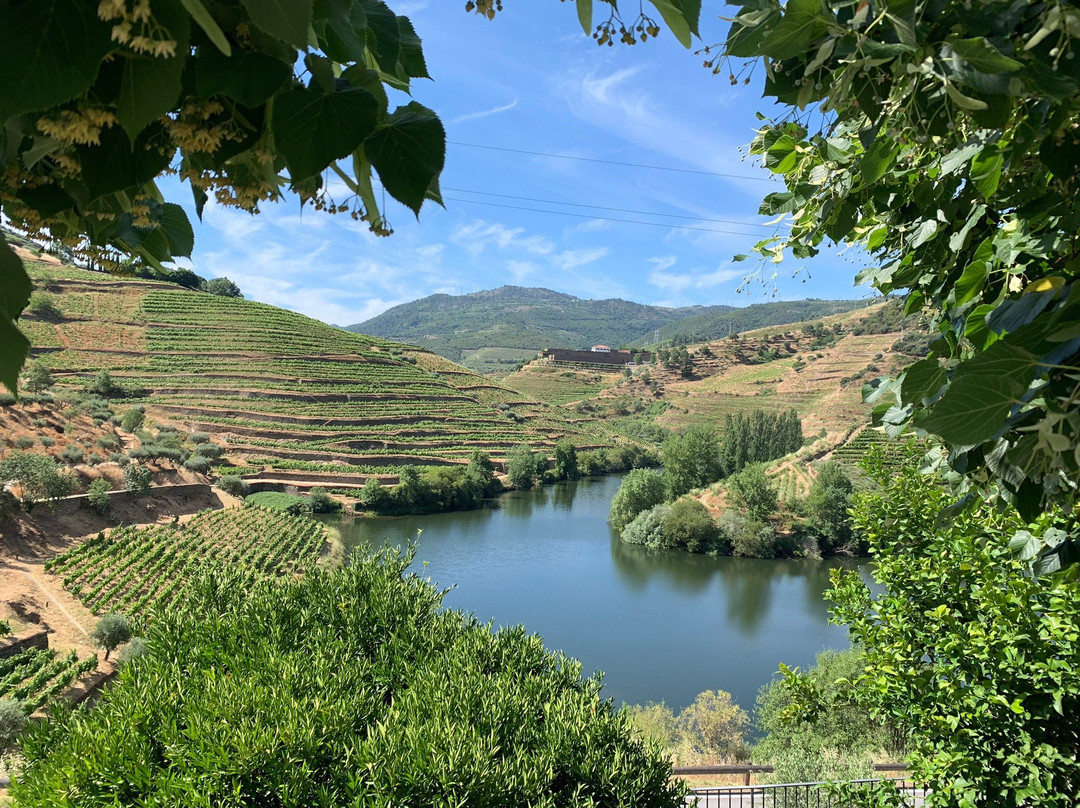 Douro Valley Tours景点图片