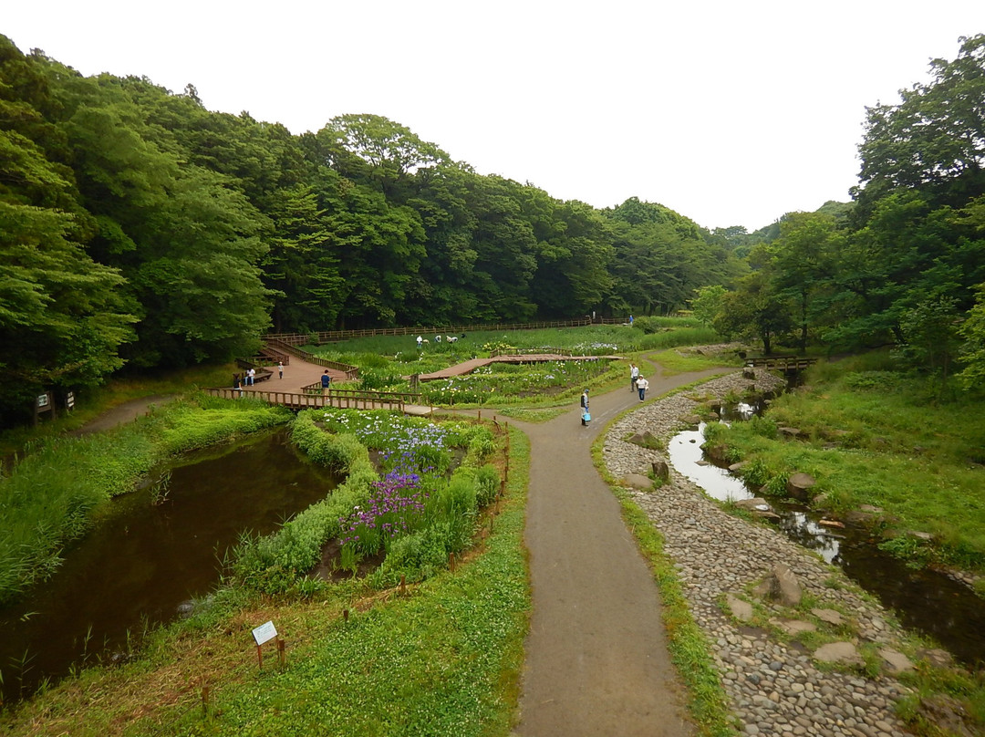 Izumi no Mori景点图片