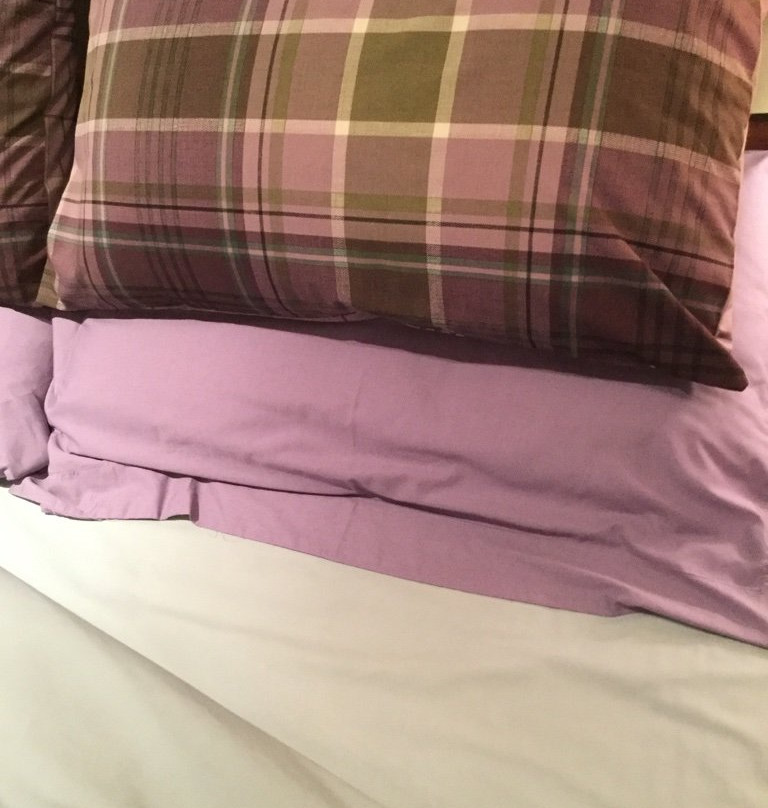 Wheelers Green B&B主图