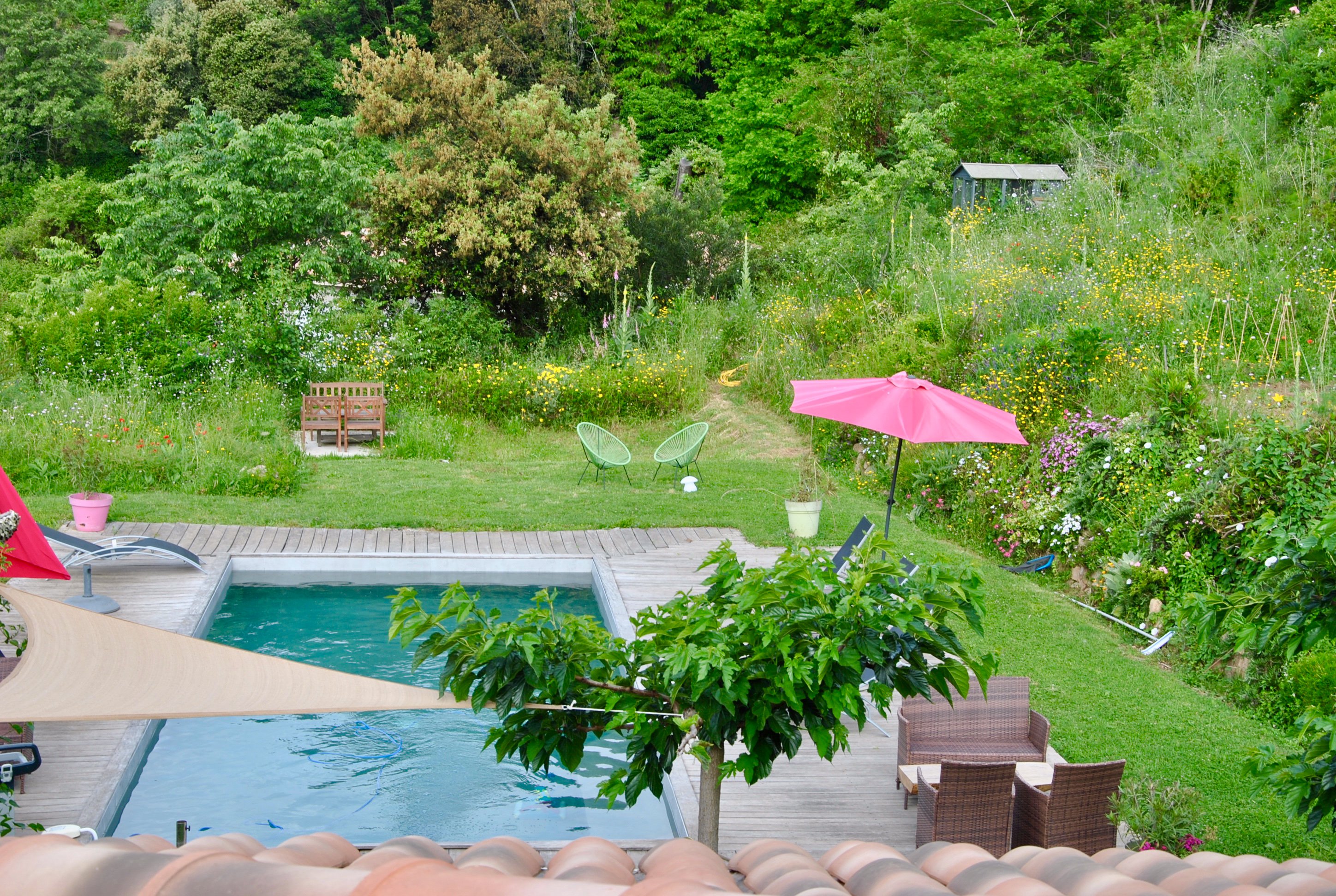 Domaine U Bugnu-泳池