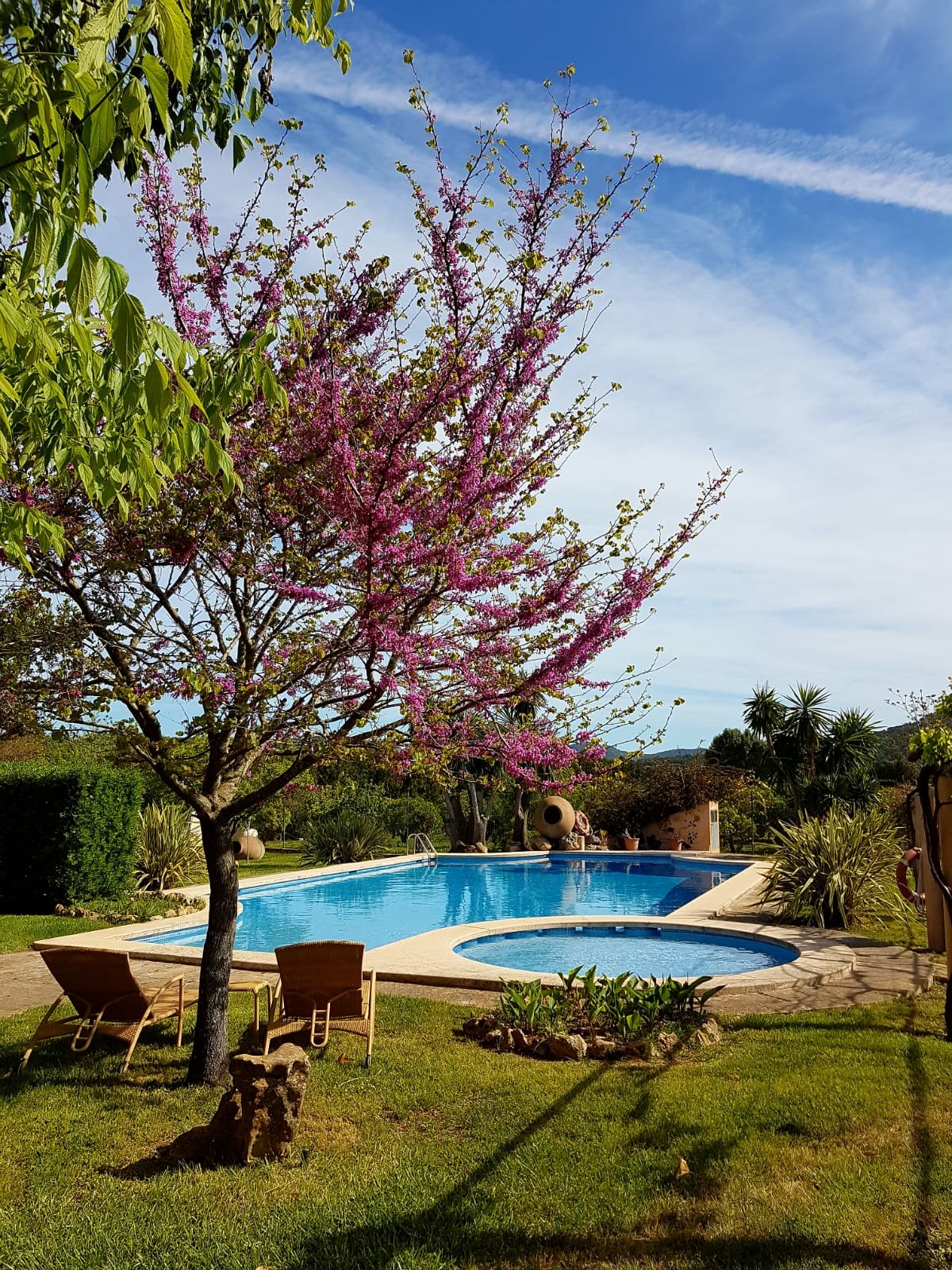 Aumallia Hotel & Spa-泳池