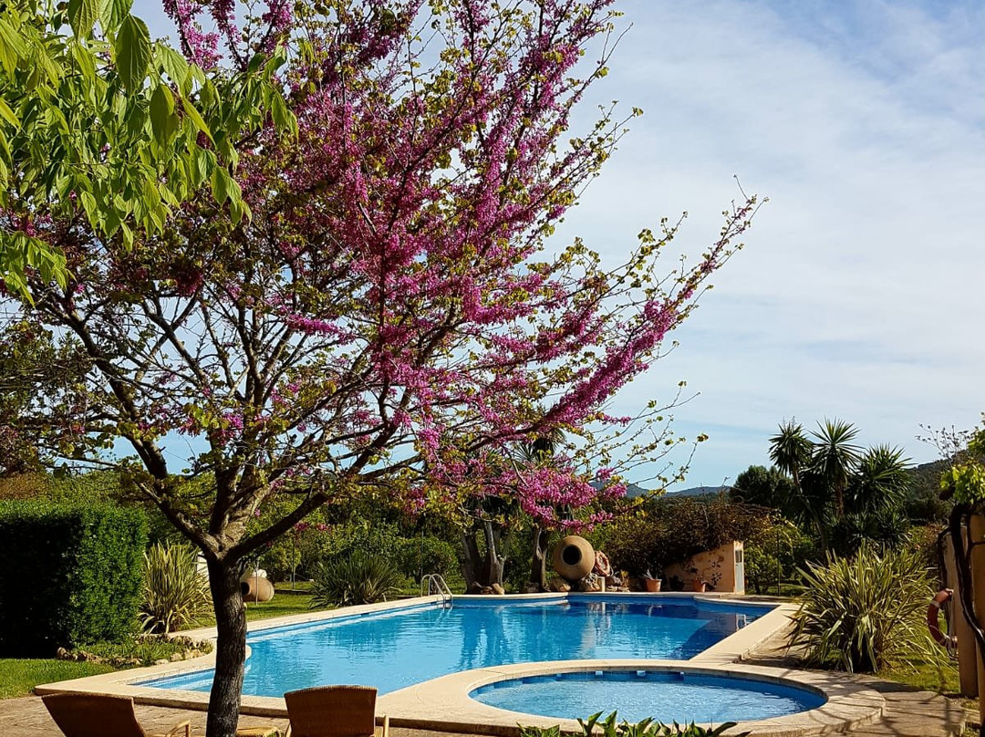 Aumallia Hotel & Spa主图