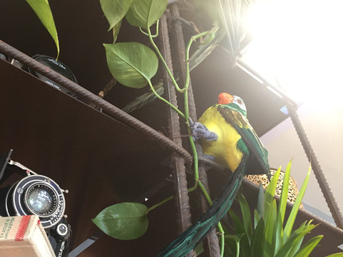 Dressvoice-Platanias必去景点