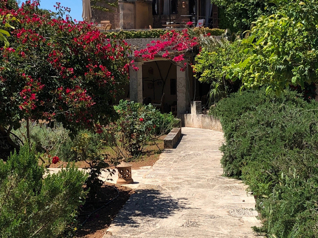 Sa Carrotja, Finca d'Agroturisme主图