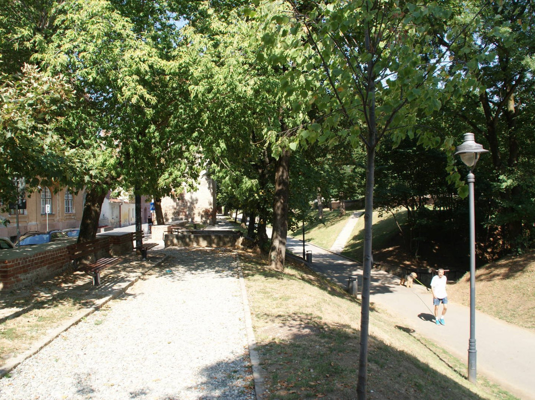 Citadel Park of Sibiu景点图片