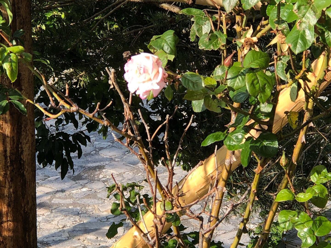 Monterreal Resort Golf Club and Ski主图