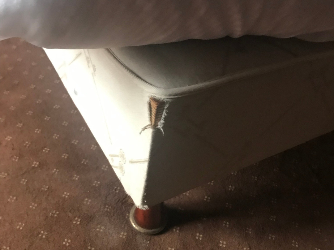 Hotel les Frangins主图