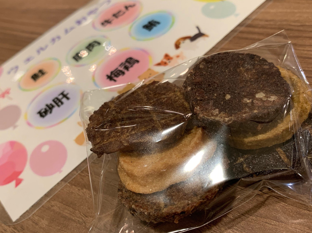 Wan’s Resort Yamanakako主图